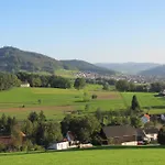 Alte Schmiede Apartament Reichenbach (Lahr)