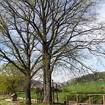 Apartament Alte Schmiede *