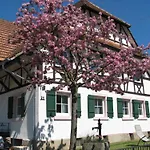Apartament Alte Schmiede Reichenbach (Lahr)