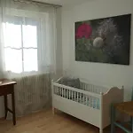 Apartament Alte Schmiede *
