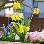 Apartament Alte Schmiede Reichenbach (Lahr)