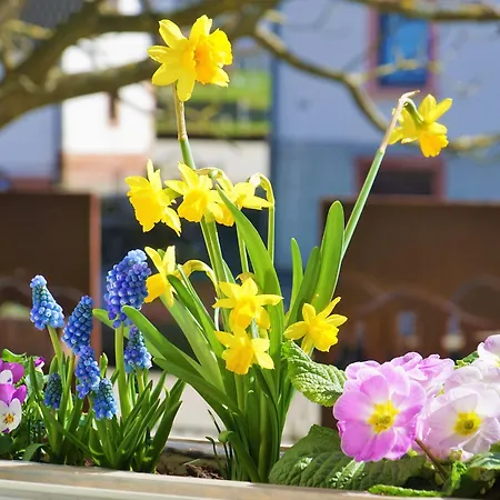 Alte Schmiede * Reichenbach (Lahr)