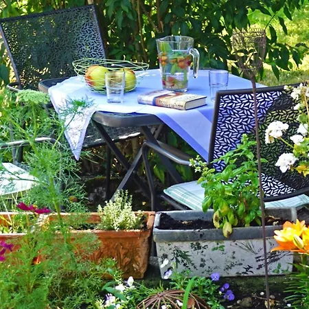 Alte Schmiede شقة