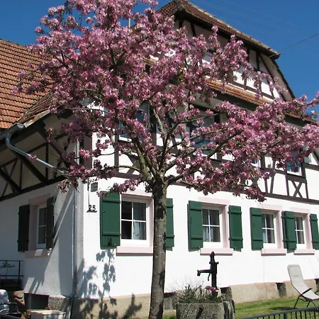 Alte Schmiede شقة *