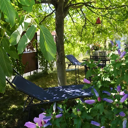 شقة Alte Schmiede *