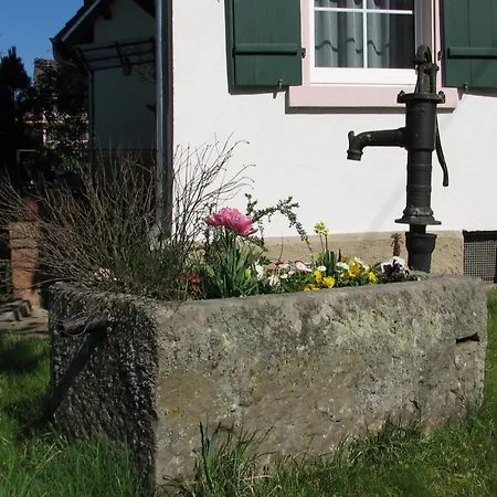 شقة Alte Schmiede *