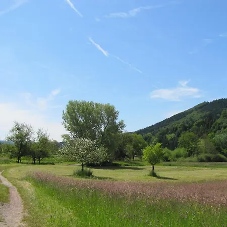 Alte Schmiede להר