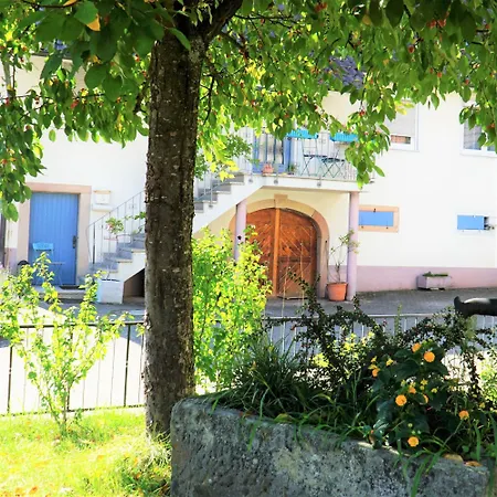 Alte Schmiede דירה *