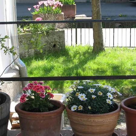 Alte Schmiede דירה