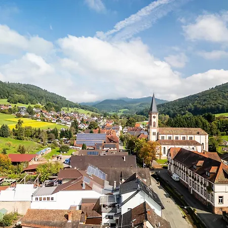 Alte Schmiede Apartament *