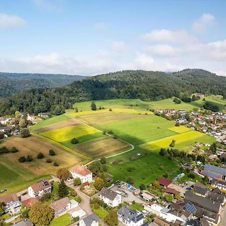 Alte Schmiede Apartament Reichenbach (Lahr)