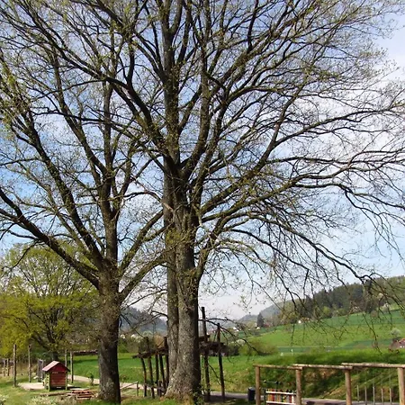 Apartmán Alte Schmiede *