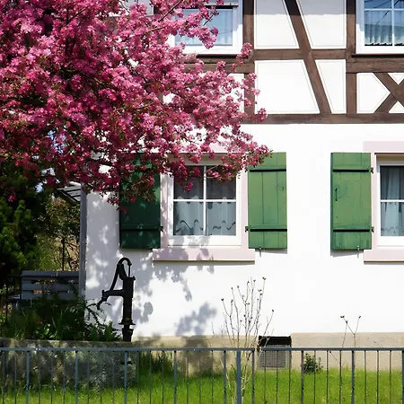 Apartmán Alte Schmiede *