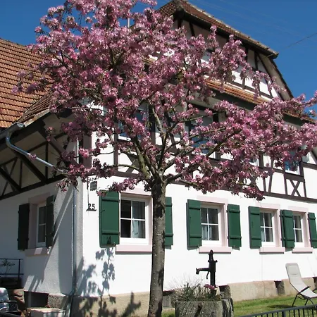 Apartmán Alte Schmiede Reichenbach (Lahr)