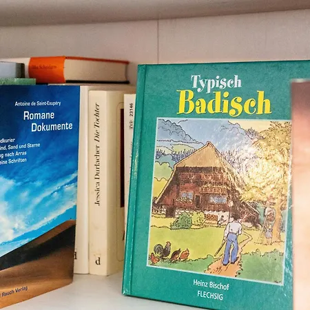 Lejlighed Alte Schmiede Reichenbach (Lahr)