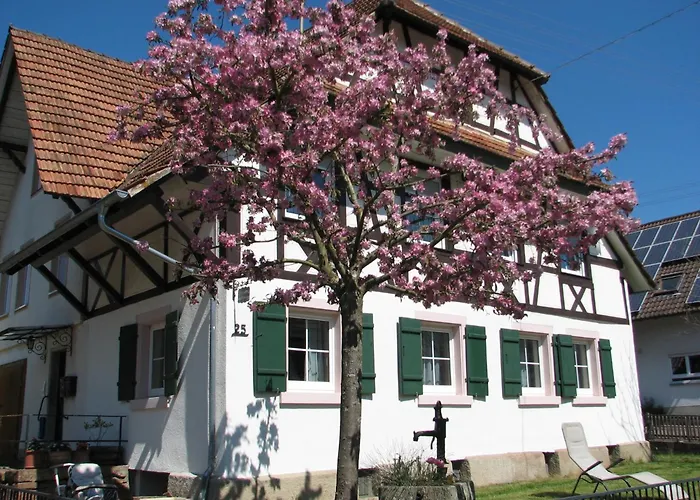 Alte Schmiede شقة *