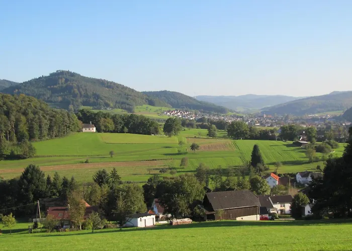 Alte Schmiede * لار