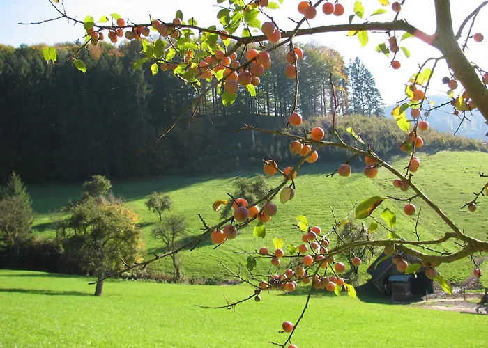 Alte Schmiede شقة لار