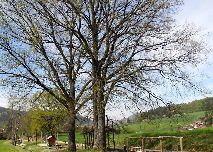 Alte Schmiede شقة