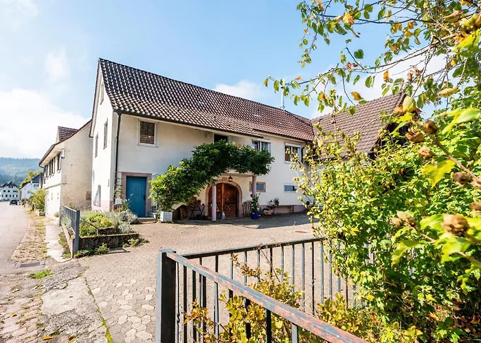 Alte Schmiede شقة