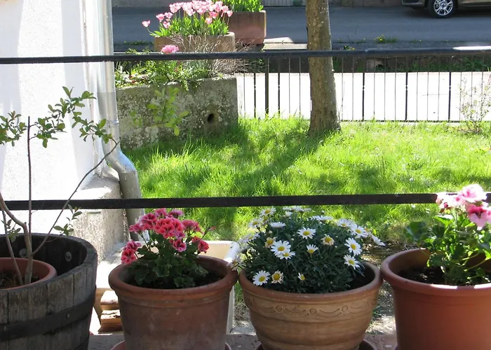 Alte Schmiede شقة